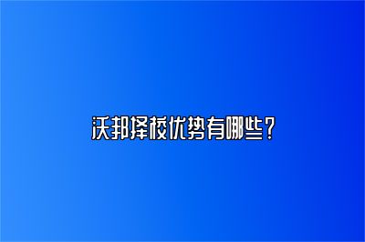 沃邦择校优势有哪些？